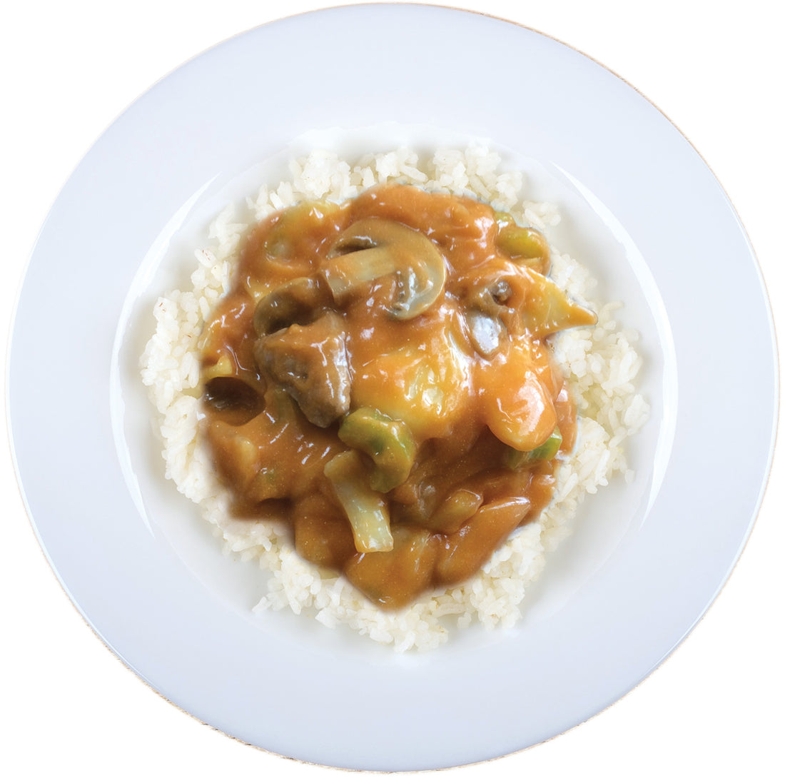 Beef Stoganoff &amp; Rice