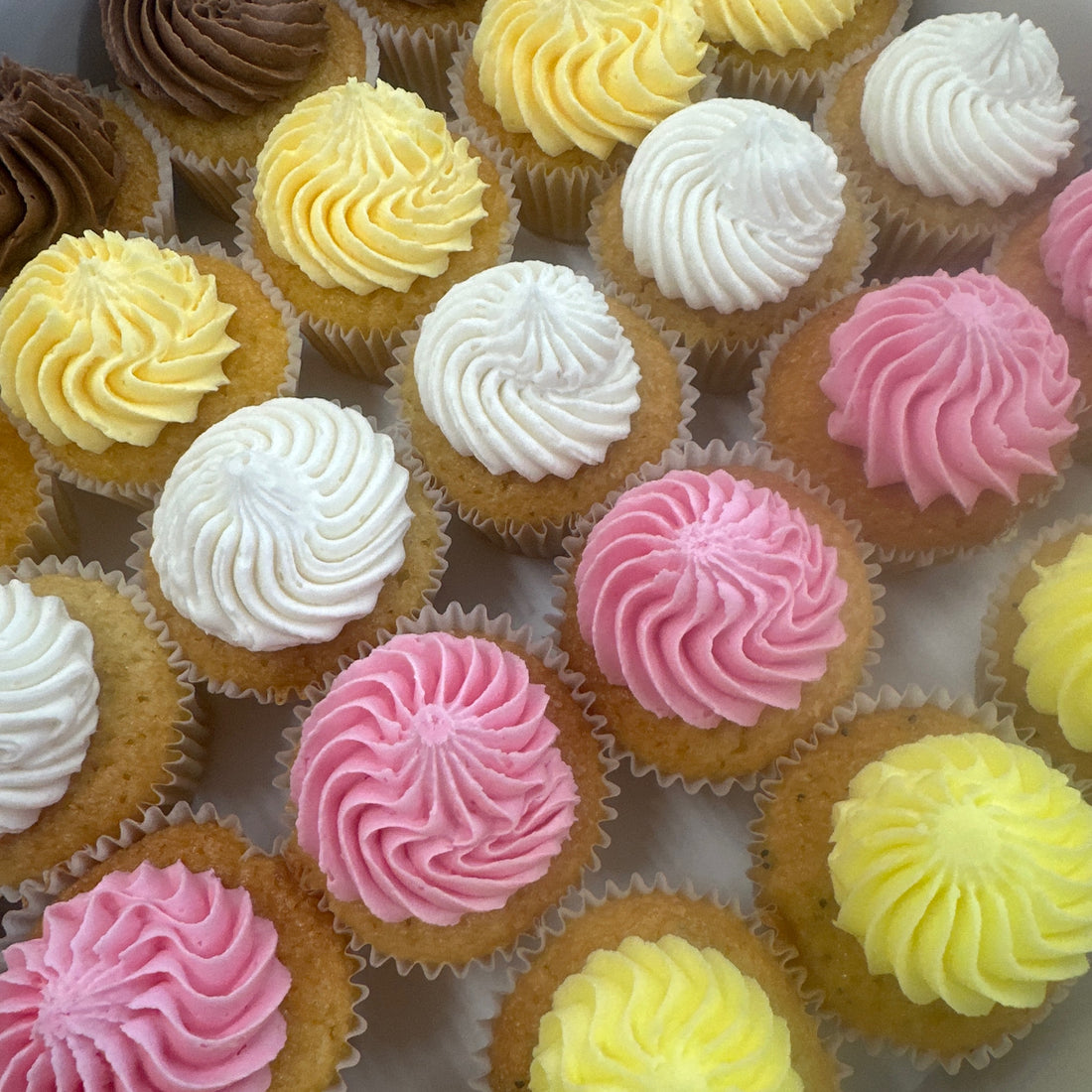 Cocktail Cupcakes